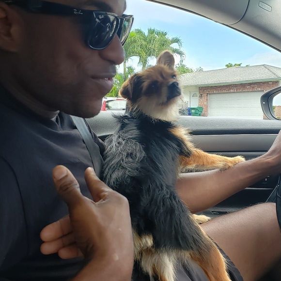 Meet your Posher, Daniel - Picture 1 of 1